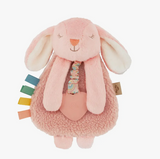 Itzy Ritzy Teether & Toy- Anna The Bunny Toy