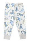 Dino Two Piece Pajama Boys Set